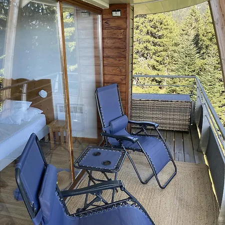 V Du Bachat Epicea B N22 - 3p6 * Chamrousse